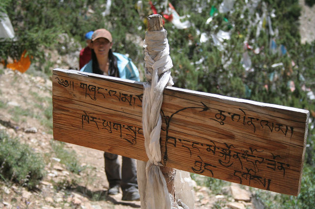 谁看得懂为我这个没文化很可怕的人翻译一下