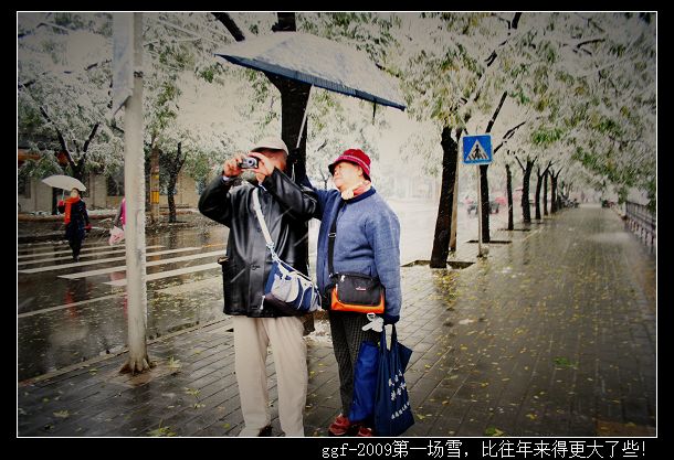 ggf-2009第一场雪，比往年来得更大了些！3.jpg
