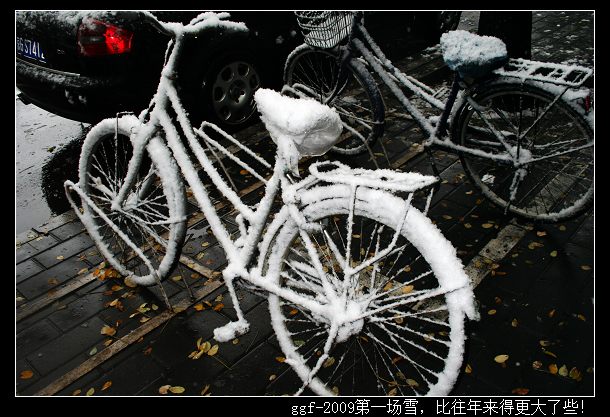 ggf-2009第一场雪，比往年来得更大了些！10.jpg