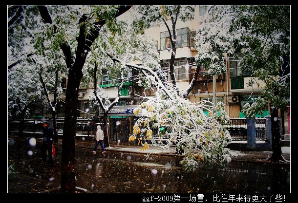 ggf-2009第一场雪，比往年来得更大了些！2.jpg