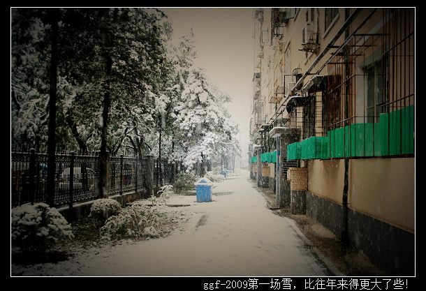 ggf-2009第一场雪，比往年来得更大了些！1.jpg