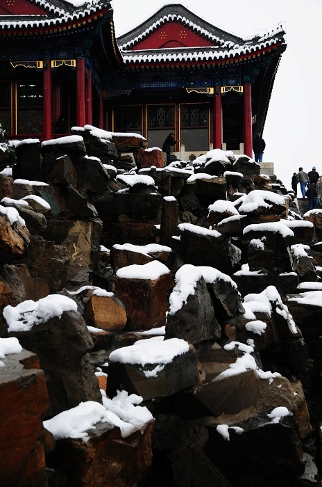 WHS_5450.jpg