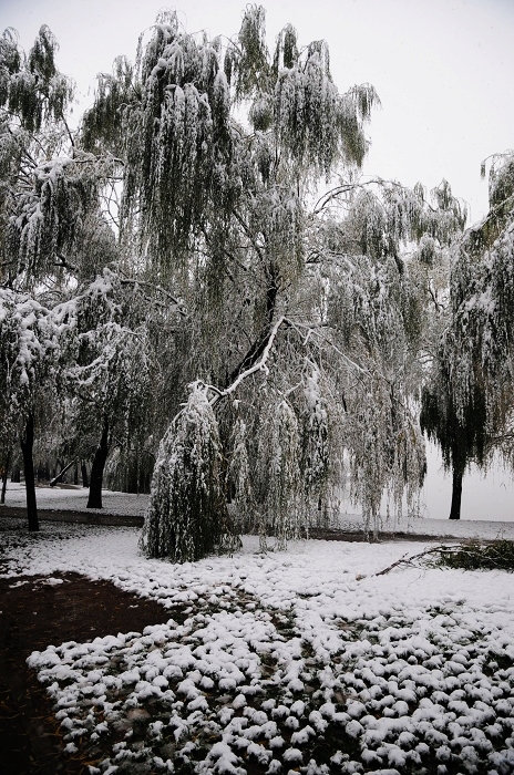 WHS_5383.jpg