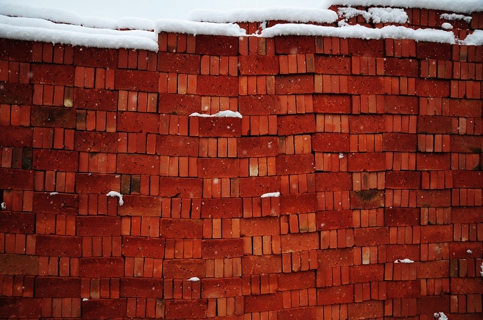 WHS_5376.jpg