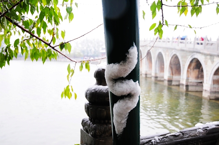 WHS_5463.jpg