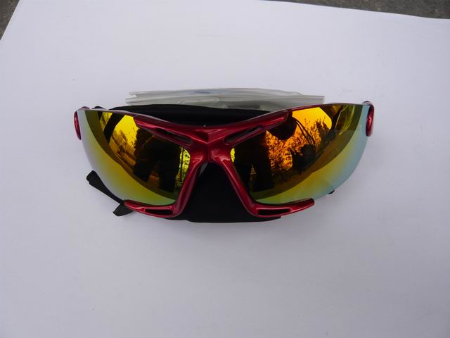 调整大小 P1120317.JPG