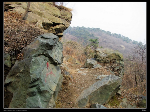 不知道有没有人从这骑过来