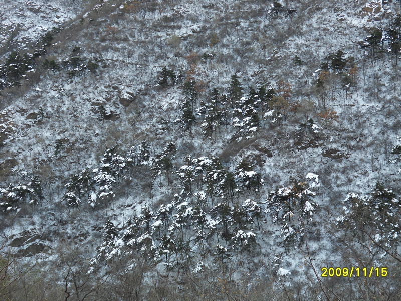 马道下坡时候发现的美景