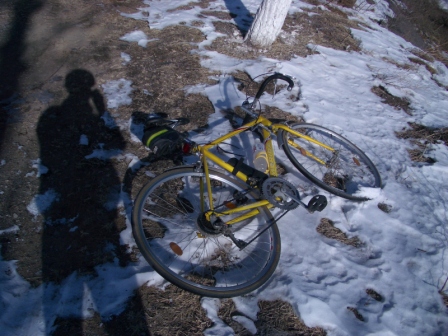 爱车雪地打滚休息