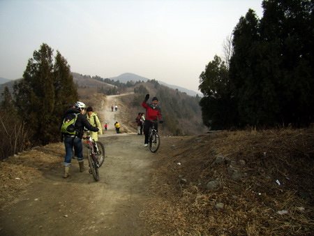 光头胎终于追上来了