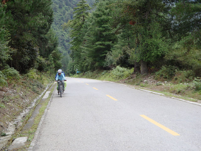 看吧，我还是骑车了的