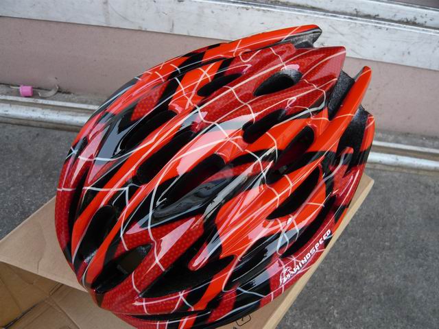 调整大小 P1120471.JPG