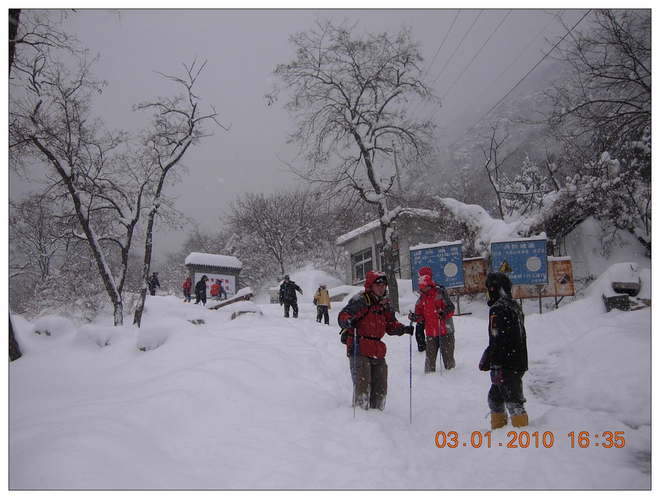 没想到这没多踏雪的