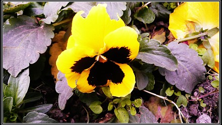 img008.jpg