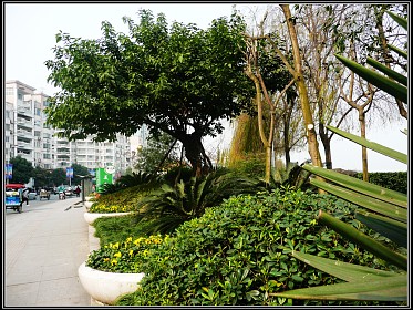 img007.jpg