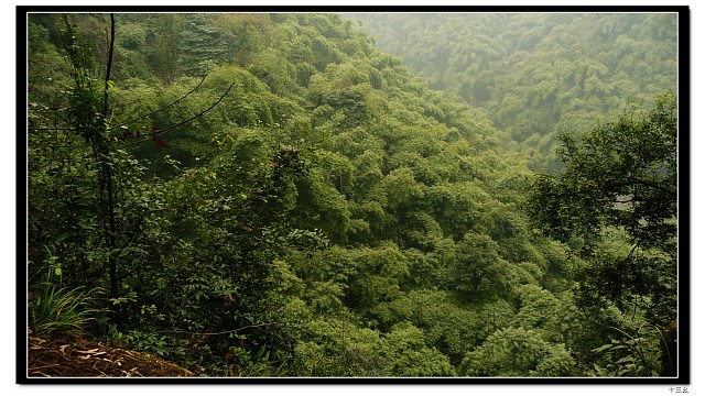 img012.jpg