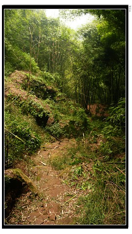img009.jpg