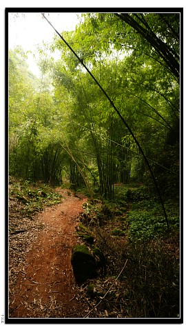 img010.jpg