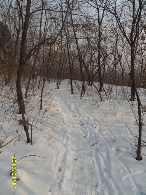 果园林道的路况，开避震骑车没问题，小心点慢点就行