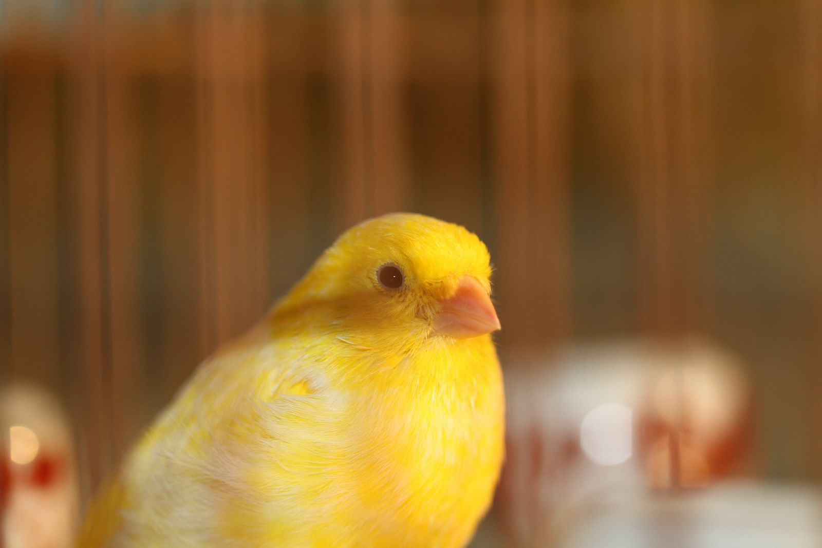 100123风云年会 003.jpg