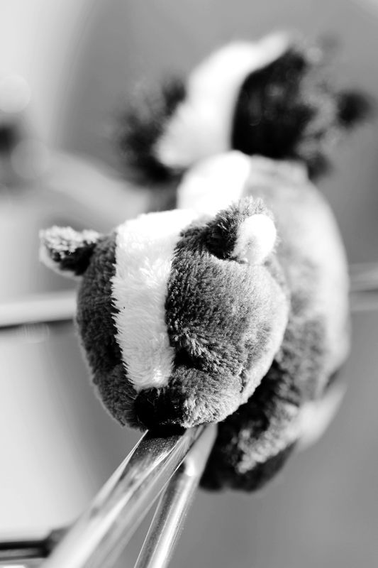 婚礼与年会 021-2.jpg