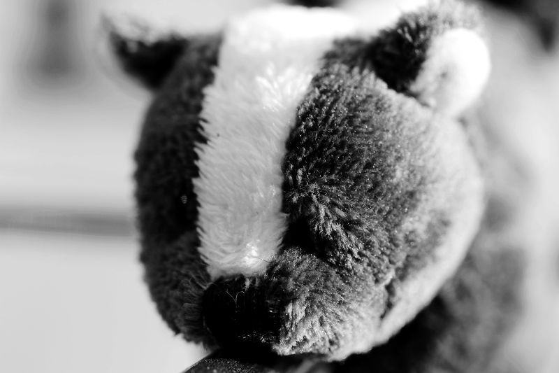 婚礼与年会 044.jpg