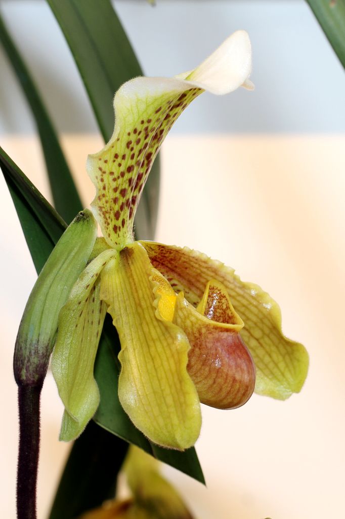 中山公园 069.jpg