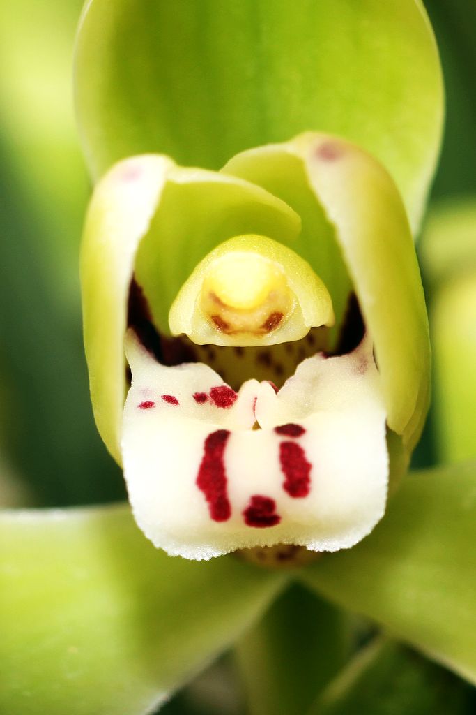 中山公园 078.jpg