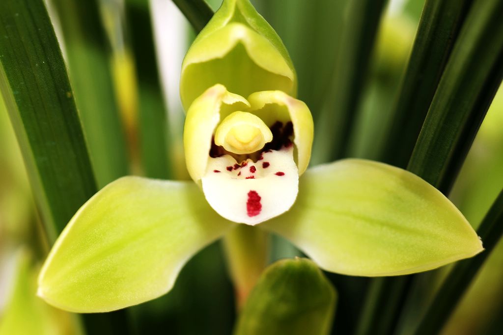 中山公园 077.jpg