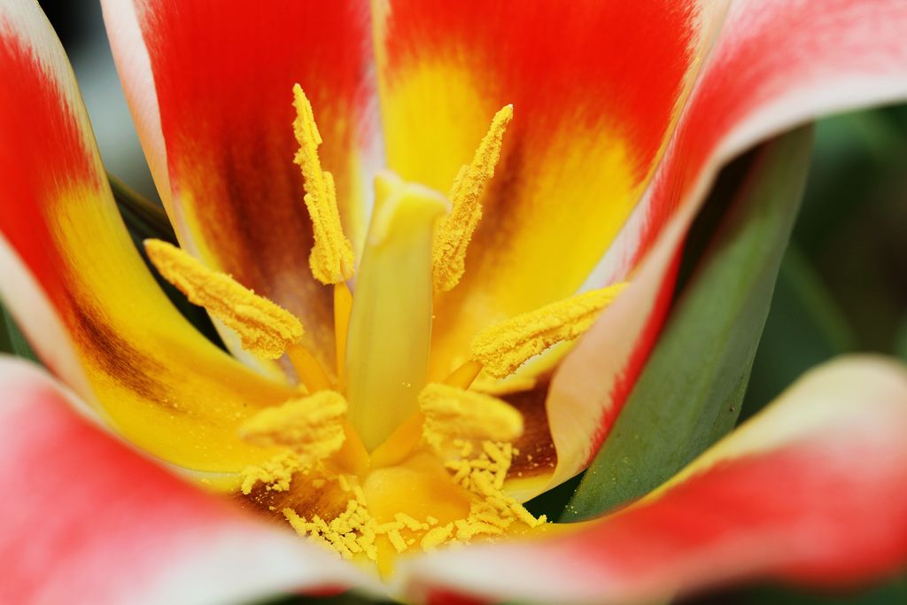 中山公园 033.jpg