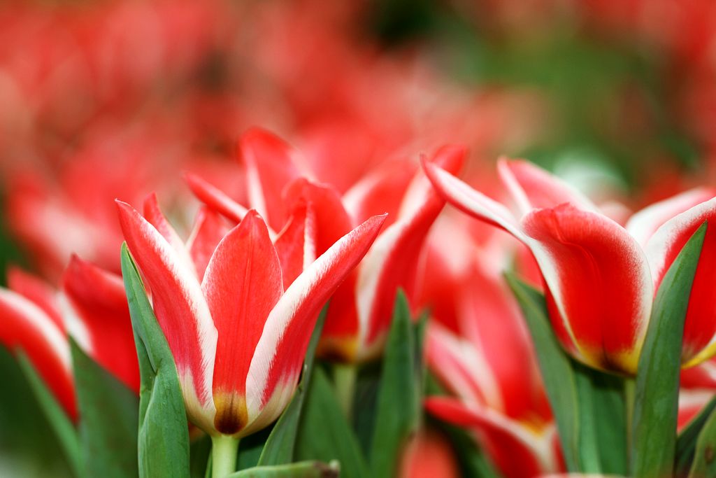 中山公园 059.jpg