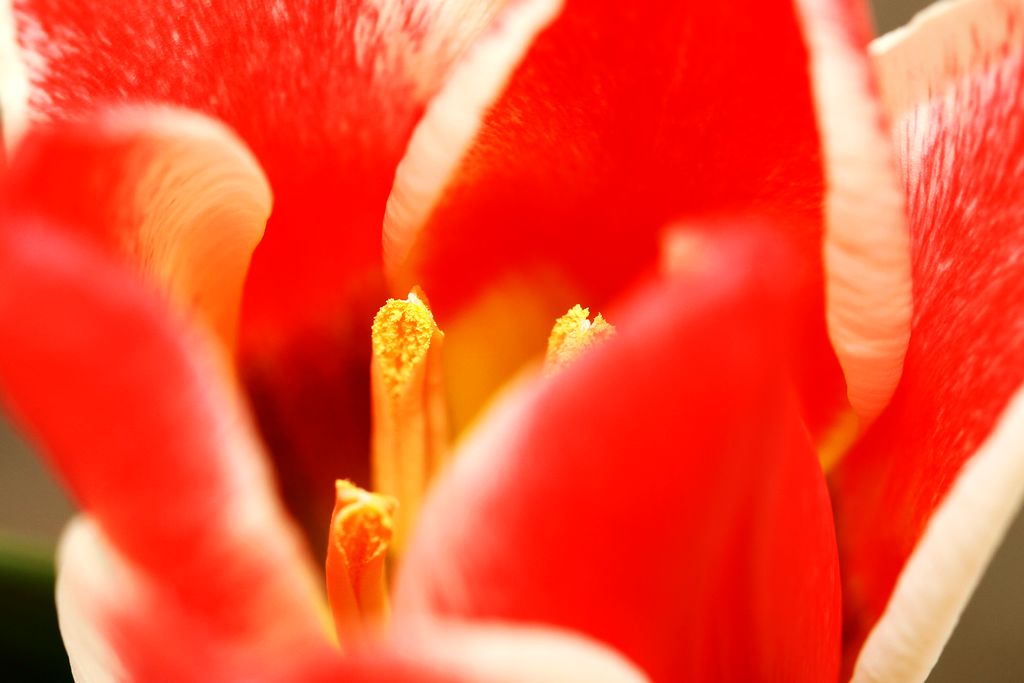 中山公园 042.jpg