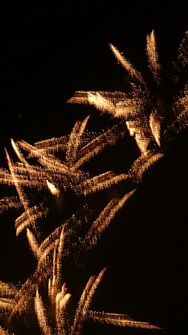 img001.jpg