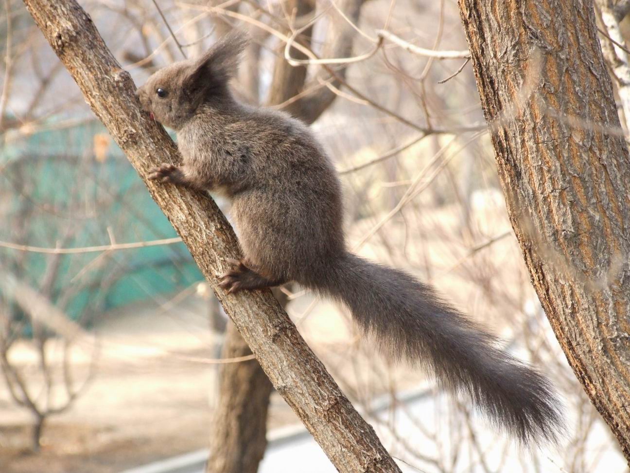 调整大小 DSCF4527.jpg