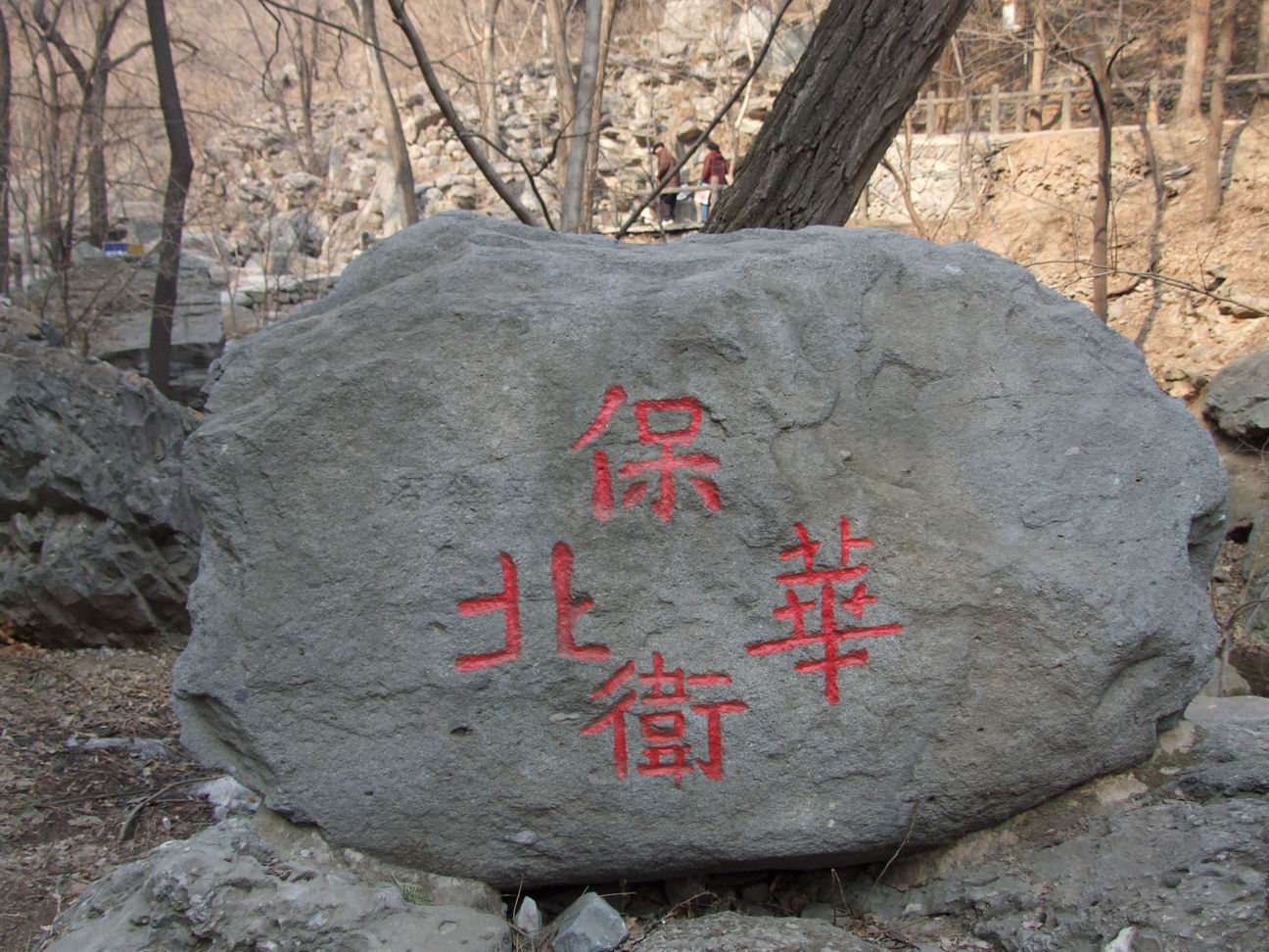 调整大小 DSCF4471.JPG