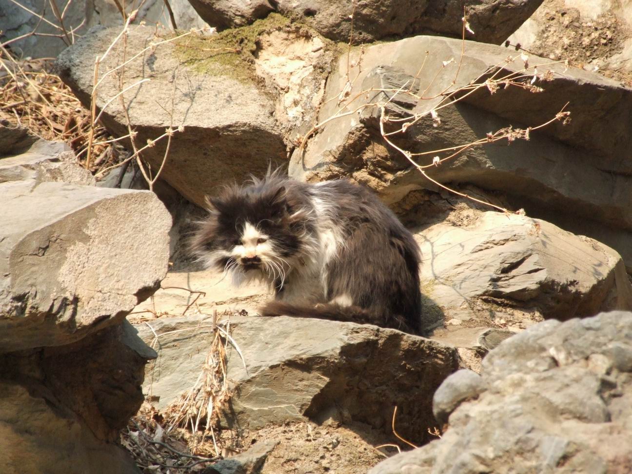 调整大小 DSCF4499.JPG