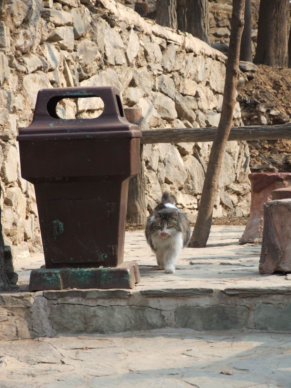 调整大小 DSCF4492.JPG