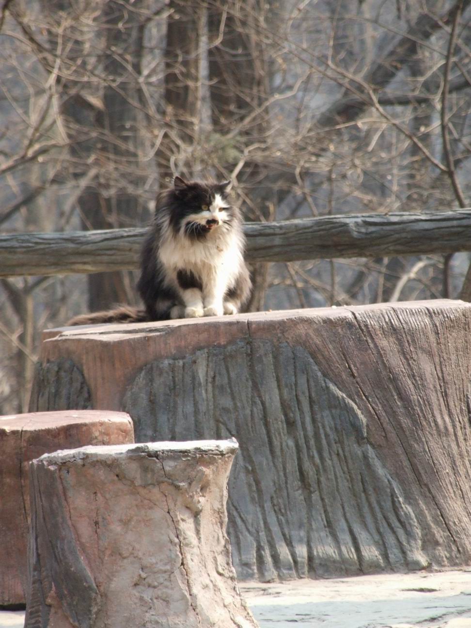 调整大小 DSCF4483.jpg