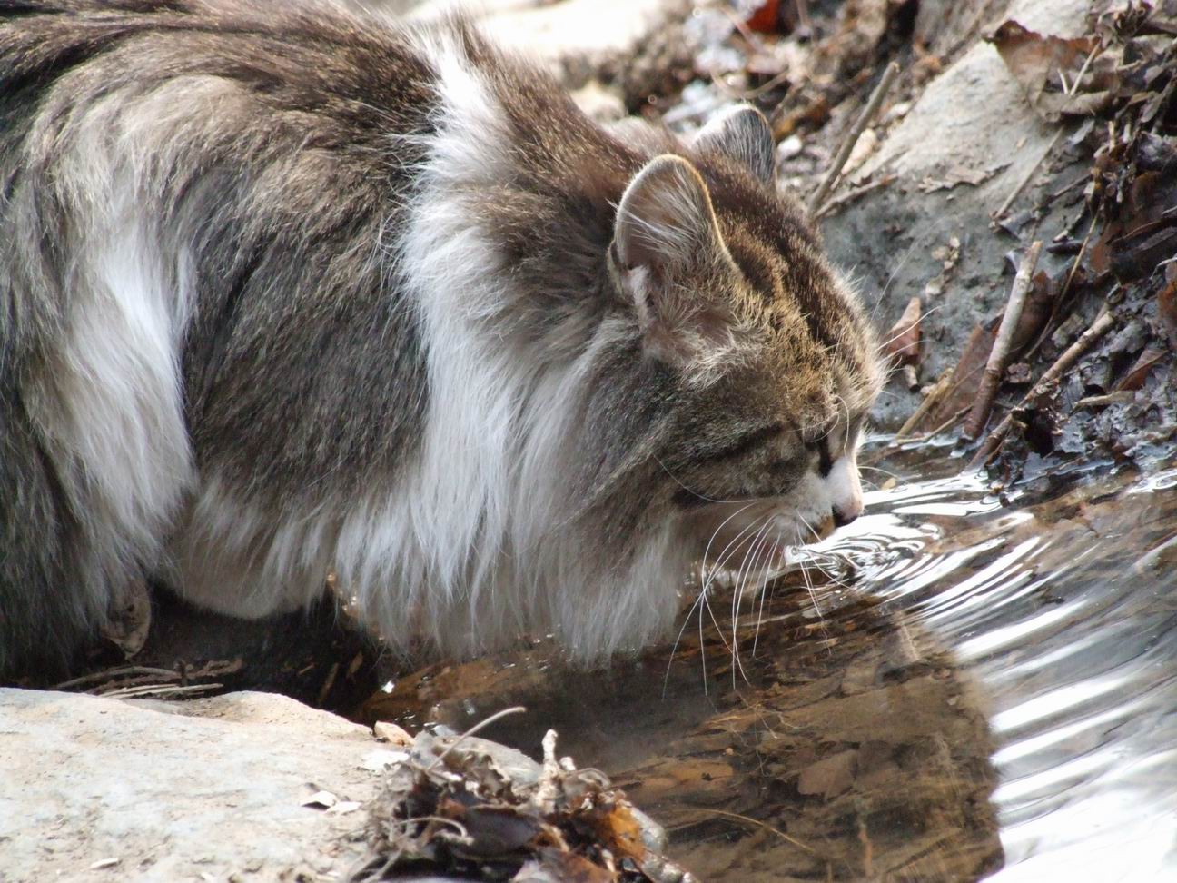 调整大小 DSCF4496.JPG