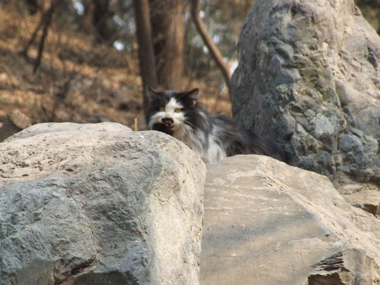 调整大小 DSCF4484.jpg