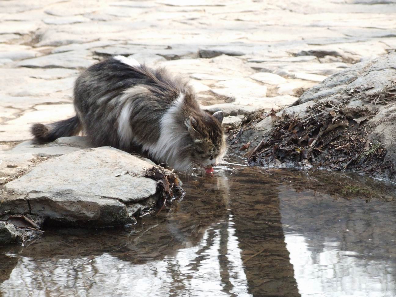 调整大小 DSCF4486.JPG