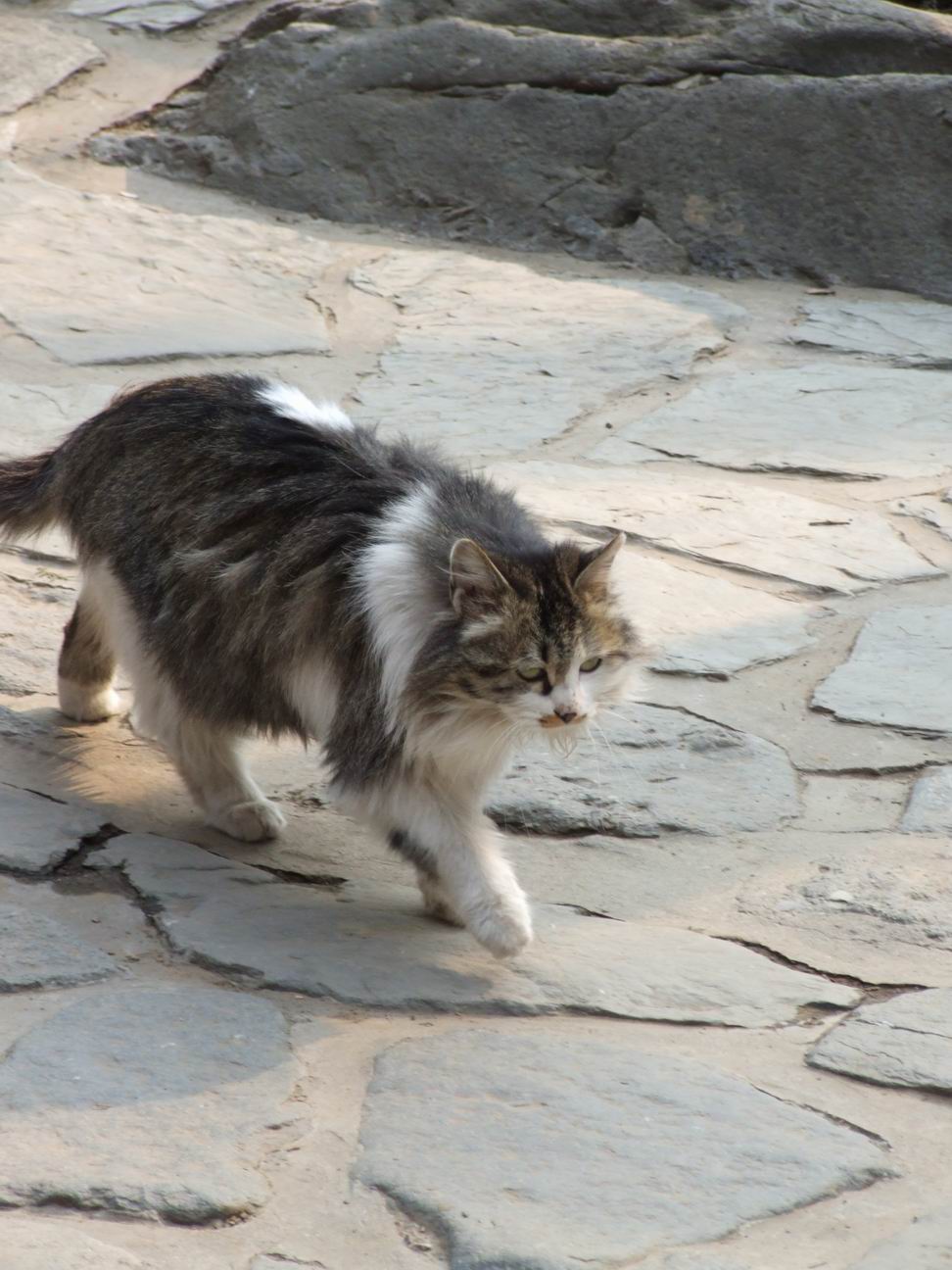 调整大小 DSCF4482.jpg