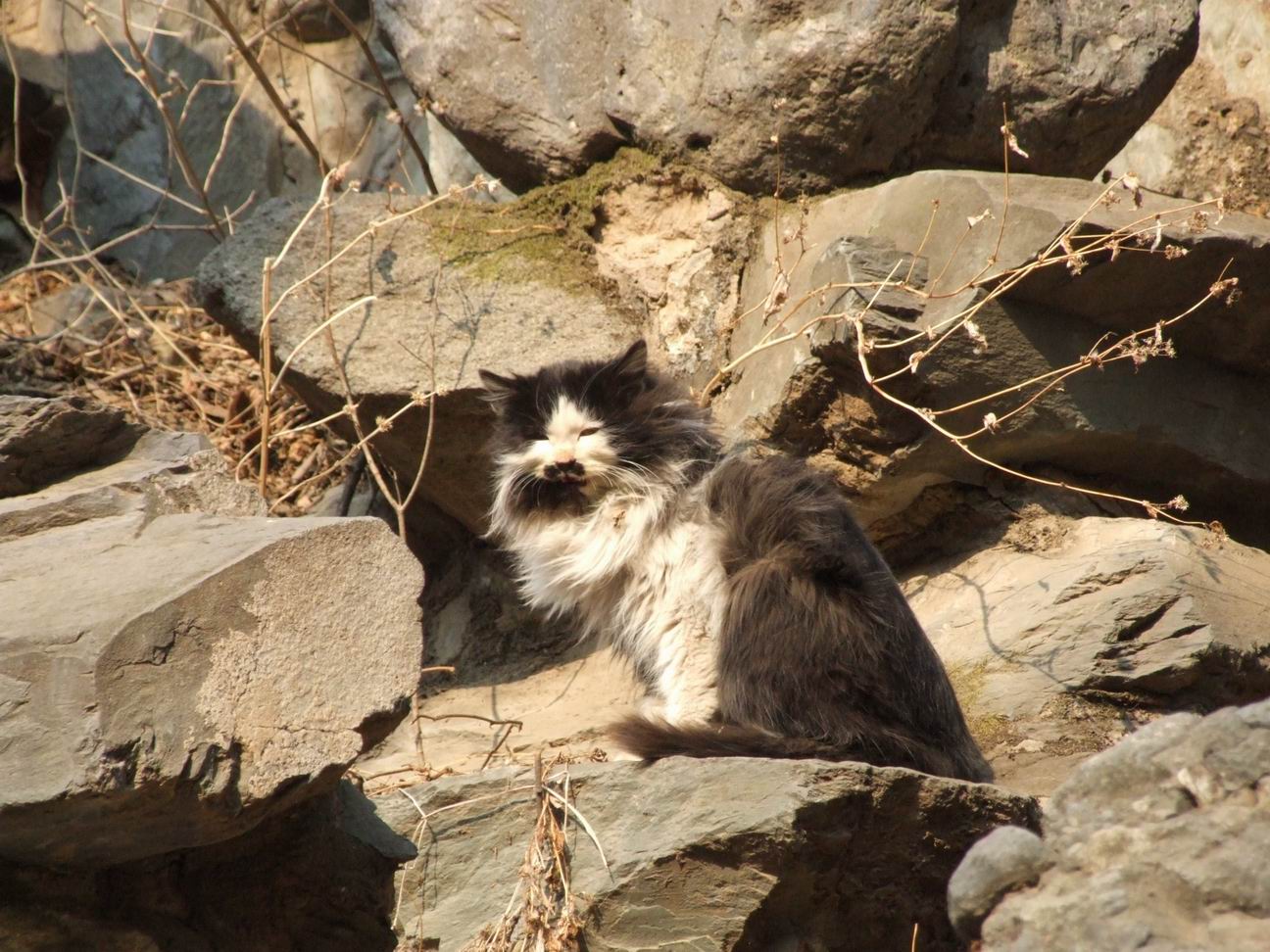 调整大小 DSCF4501.JPG