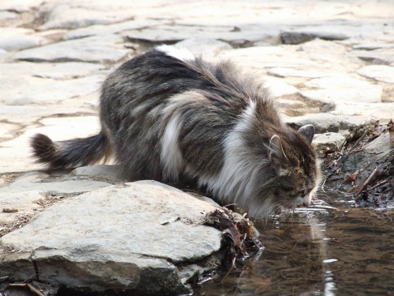 调整大小 DSCF4487.JPG