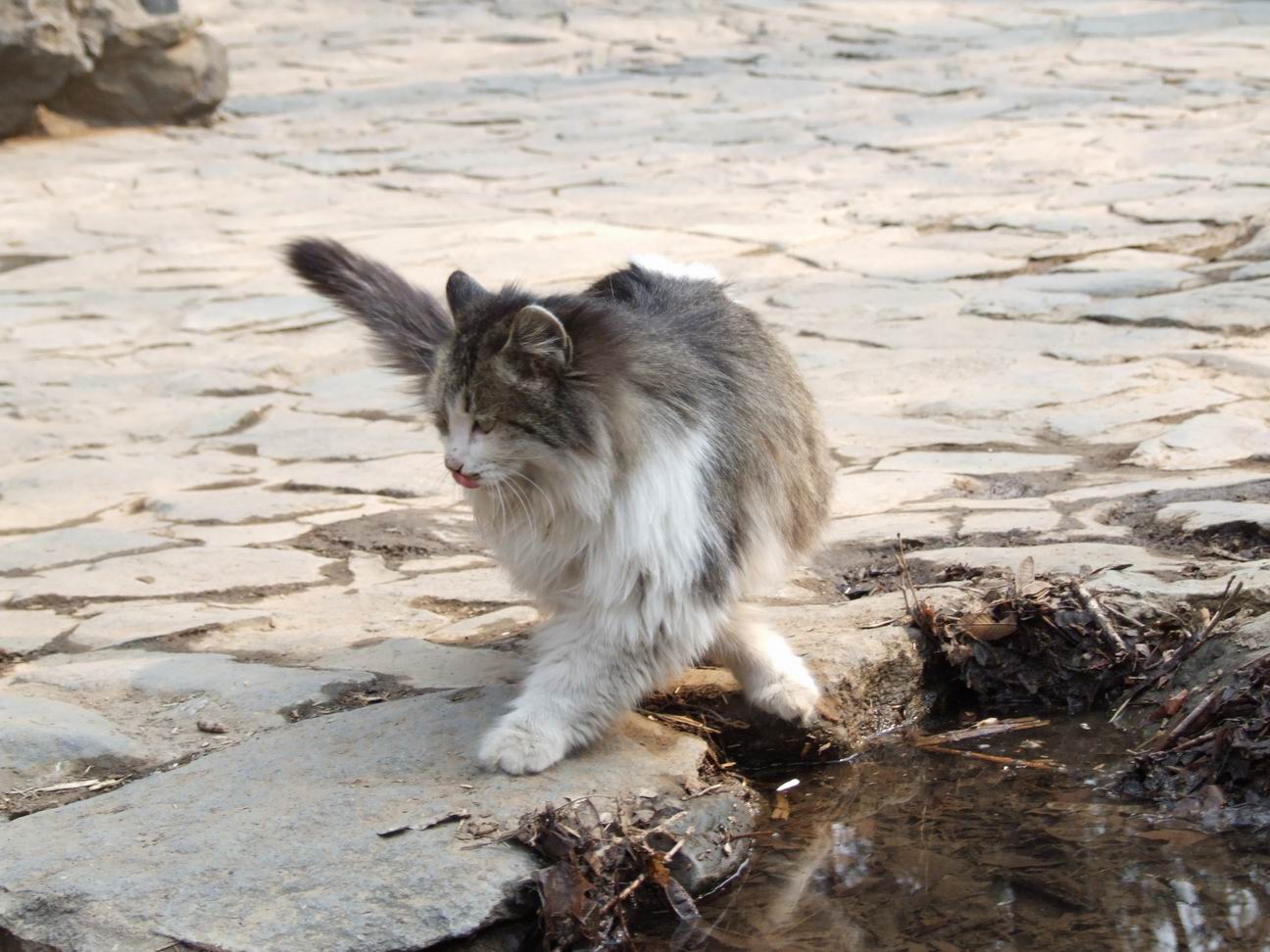 调整大小 DSCF4497.JPG