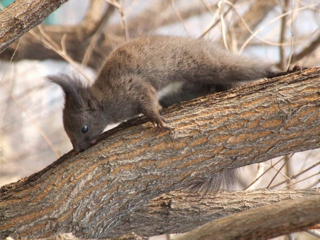 调整大小 DSCF4511.jpg