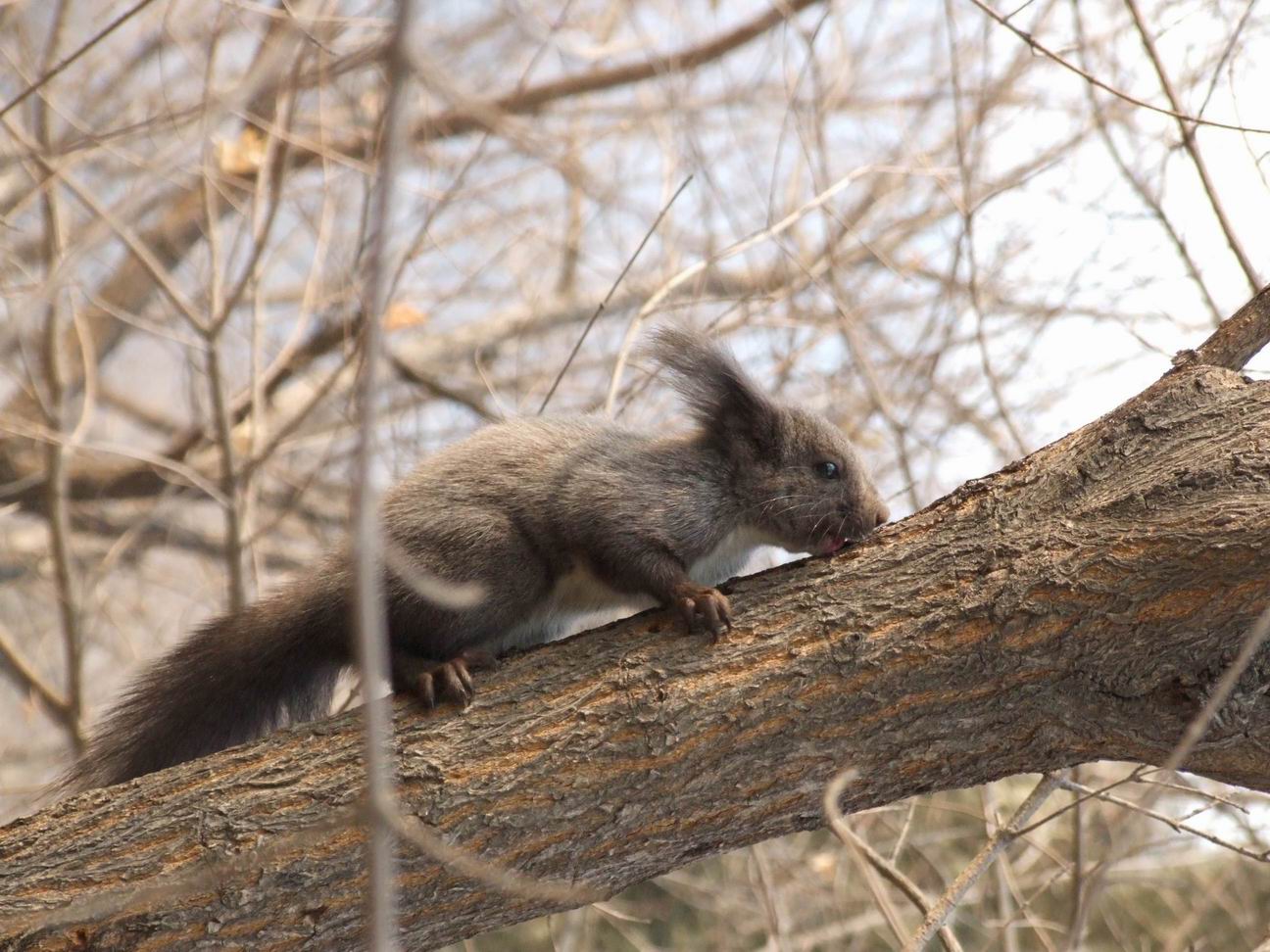 调整大小 DSCF4517.jpg