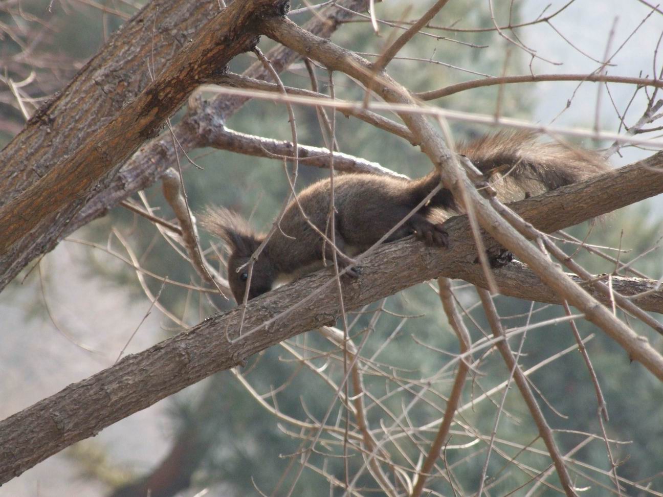 调整大小 DSCF4506.jpg