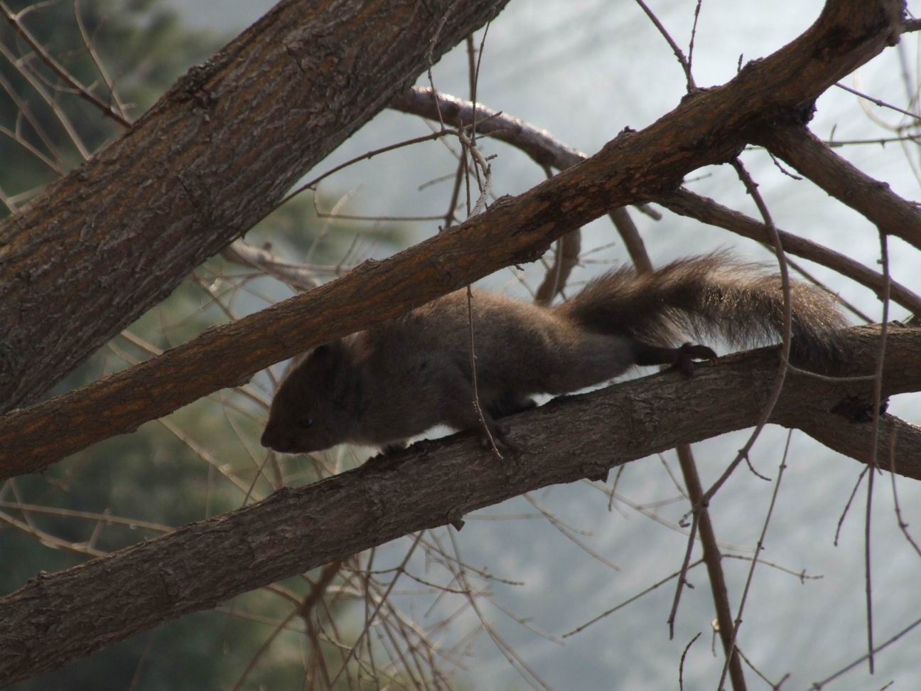 调整大小 DSCF4508.jpg