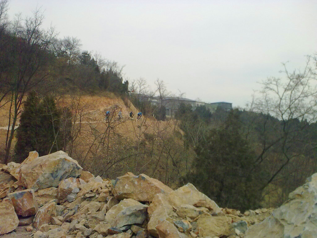 20100227364.jpg